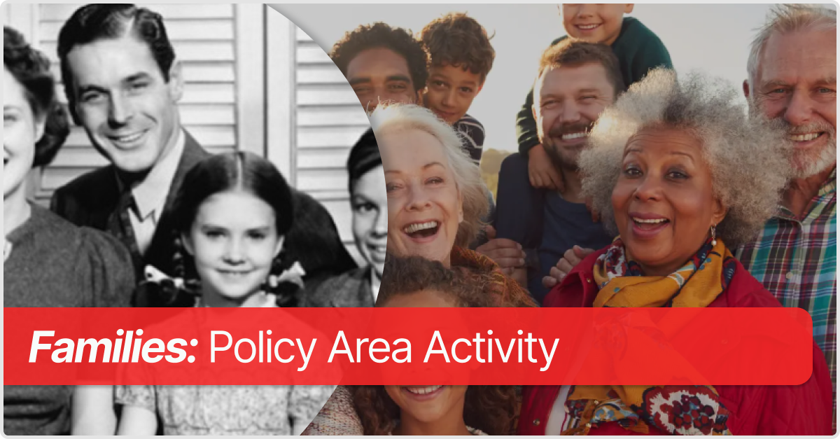 Families: Policy Area Breakdown