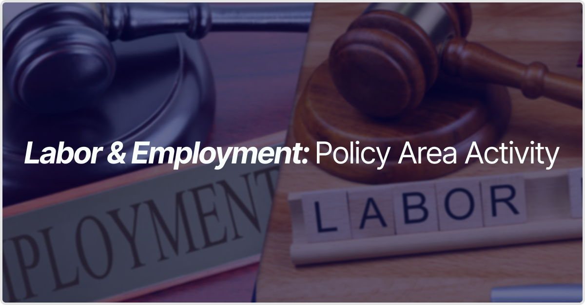 Labor & Employment: Policy Area Breakdown